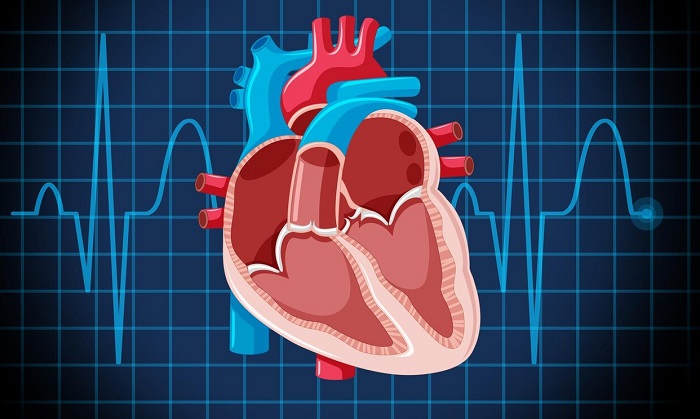 اسکن هسته ای قلب چیست